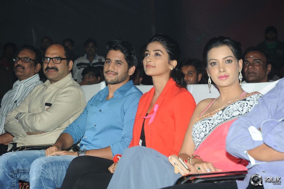 Oka-Laila-Kosam-Movie-Audio-Success-Function